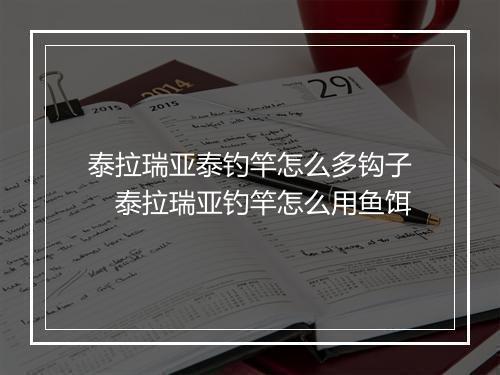 泰拉瑞亚泰钓竿怎么多钩子　泰拉瑞亚钓竿怎么用鱼饵